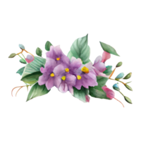 aguarela floral ilustração png