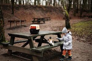 Girl with kitten and travel plastic cage carriage outdoor at park on wooden table. photo