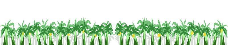 Background illustration with lots of banana trees vector