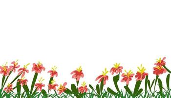 Background illustration with lots of hibiscus flowers vector