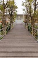 Wooden walk way photo