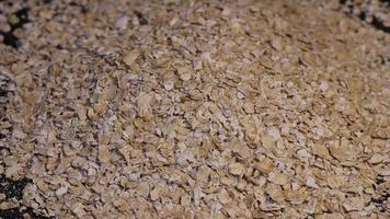Rolled oats background.  Falling rolled oat grains in raw oatmeal, green background. Organic diet cereal healthy food video