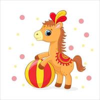 A cute horse performs in a circus. Vector illustration of a cartoon.