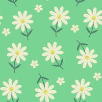 Seamless spring daisy pattern on green background. Vector print with white wild chamomile. Medical herbs. Children cute cartoon pattern