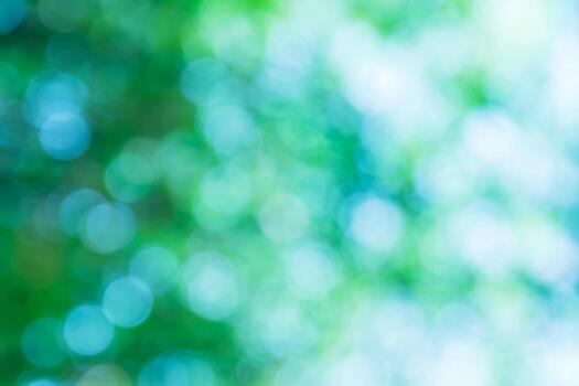 Blurred green lights circular bokeh abstract for Christmas background photo