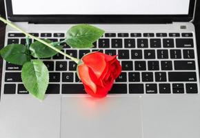 Red rose and the laptop on deck photo