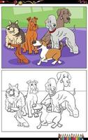 cartoon purebred dogs characters group coloring page vector