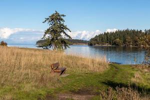 empty park bench on a trail by the ocean in British Columbia photo