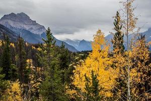 Colourful fall leaves and mountains in Jasper National Park, Alberta, Canada photo