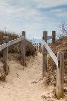 Sandy path to the beach photo