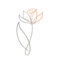 one line flower drawing png