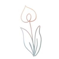 one line flower drawing png