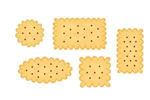 Set of cracker chips of various shapes vector cartoon