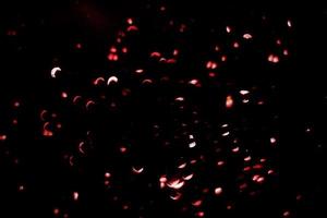 background of abstract glitter lights. gold and black. de focused photo