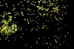 background of abstract glitter lights. gold and black. de focused photo