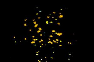 background of abstract glitter lights. gold and black. de focused photo