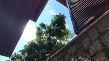 inferior Disparo de un verde árbol Entre tradicional casas en el antiguo pueblo de sozopol video