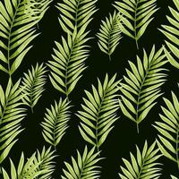 Abstract exotic plant seamless pattern. Tropical palm leaves pattern. Fern leaf wallpaper. Botanical texture. Floral background. vector