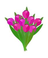 Bouquet of pink tulips vector illustration isolated on white