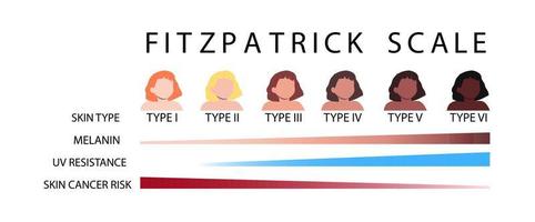 Fitzpatrick scale skin types infographic vector illustration