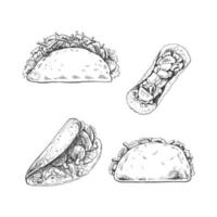 Tacos set. Hand-drawn sketch illustrations of traditional mexican food. Top, front, perspective view. Vintage. Element for the design of labels, packaging and postcards vector