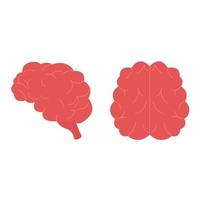 Side and top view of the brain in flat style vector