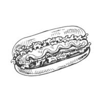 Hand-drawn sketch of  hot dog isolated on white background. Fast food illustration. Vintage drawing. Element for the design of labels, packaging and postcards. vector