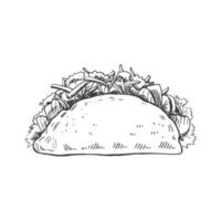 Hand-drawn sketch of taco on white background. Fast food vintage illustration. Element for the design of labels, packaging and postcards vector