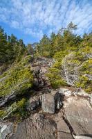 rocky trail through evergreen forest photo