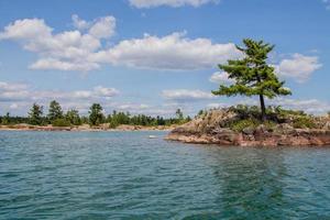 A pine tree on the rocky coast of Georgian Bay photo