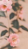 Aesthetic Closeup Pink Flowers And Leaves. Pastel Retro Colors photo