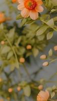 estético naranja flor con hojas. retro colores, minimalista composición foto
