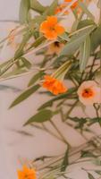 Aesthetic Orange Flower With Leaves. Retro Colors, Minimalistic Composition photo