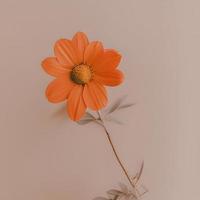 Aesthetic Orange Flower With Leaves. Retro Colors, Minimalistic Composition photo