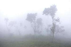 On a foggy winter morning, two young boy and girl are going to school by riding bicycle. at Ranisankail, Thakurgaon. photo