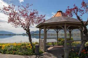 spring flowers around a gazebo in Osoyoos by the lake on a sunny day photo