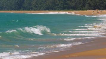 Tropical sandy exotic emerald paradise sandy crowded beach with sun beds and umbrellas. Nature ocean background. Waves beat on the coast. video