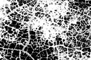 Cracked grunge urban background with rough surface. Dust overlay distress grained texture. One color graphic resource. vector