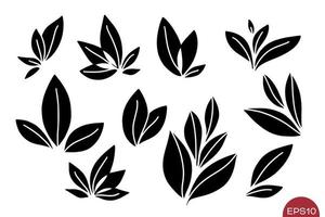 Vector set of leaves compositions. Floral elements. Various monochrome leaves isolated.