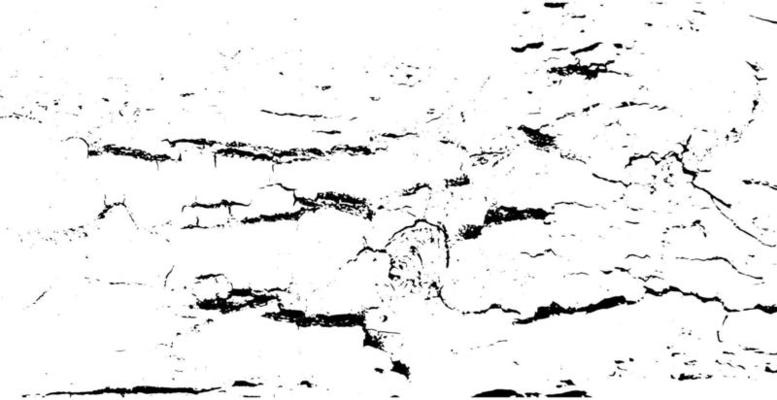Distressed overlay texture of rough surface, cracked wood, tree bark. Grunge background. one color graphic resource.