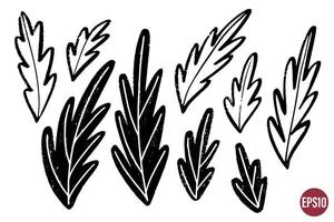 Vector set of ink drawing leaves, monochrome artistic botanical illustration, isolated floral elements, hand drawn illustration.