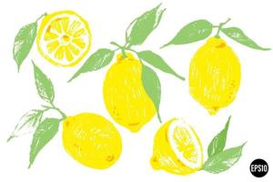 Hand drawn set of lemon fruit icon isolated on white background. Vector hand drawn illustration.