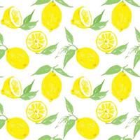 Seamless vector pattern with lemons. Lemon fruits and leaves as repeatable background. Hand drawn citrus fruits for backdrop.