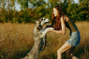 A slender woman plays and dances with a husky breed dog in nature in autumn on a field of grass and smiles at a good evening in the setting sun photo