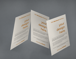 Mockup of Paper Brochures psd