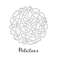 Different potatoes in circle. vector