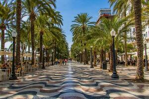 summer landscape with paseo de la explanada alicante in spain photo