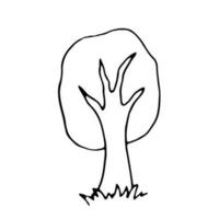 Vector line drawing of tree on white background. Vector illustration