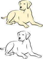 Labrador perdiguero perro sentado o acostado en piso vector ilustración