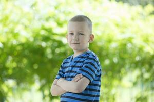 retrato de un niño en un antecedentes de verdor. chico seis años antiguo retrato foto